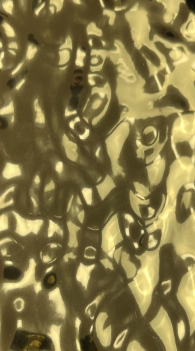 Panouri decorative WPC