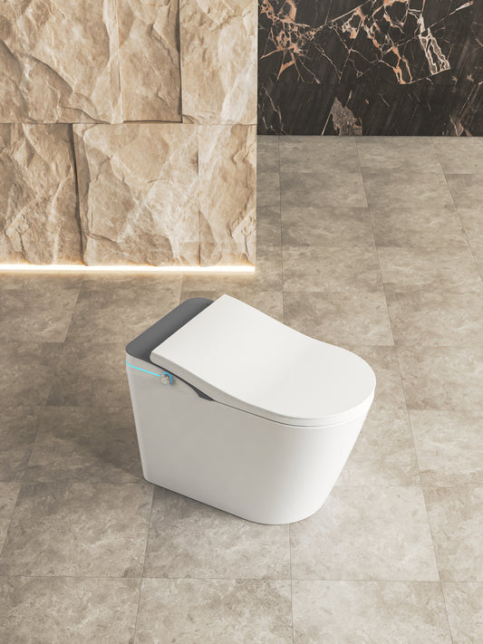 Toaleta inteligenta MIZURO, cod ART-G-WI-001